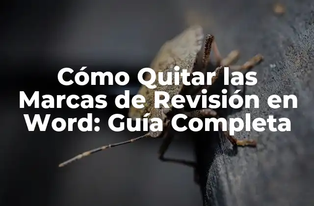 ¿Qué Son las Marcas de Revisión en Word?