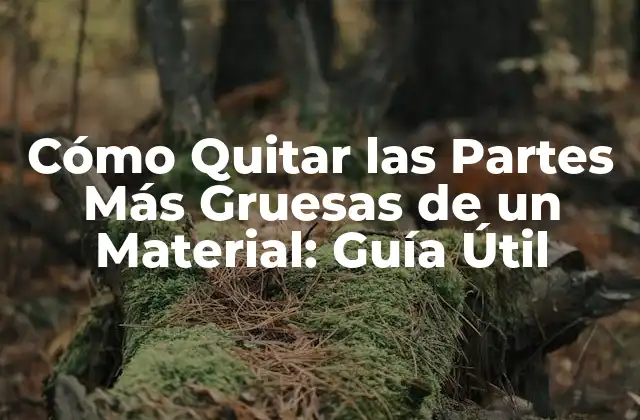 Cómo Quitar las Partes Más Gruesas de un Material: Guía Útil
