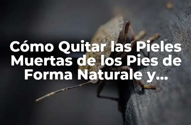 Cómo Quitar las Pieles Muertas de los Pies de Forma Naturale y Eficiente