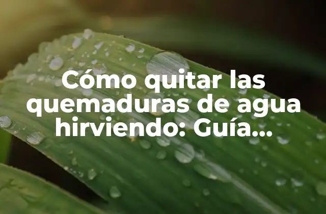 Cómo Quitar las Quemaduras de Agua Hirviendo: Guía Definitiva