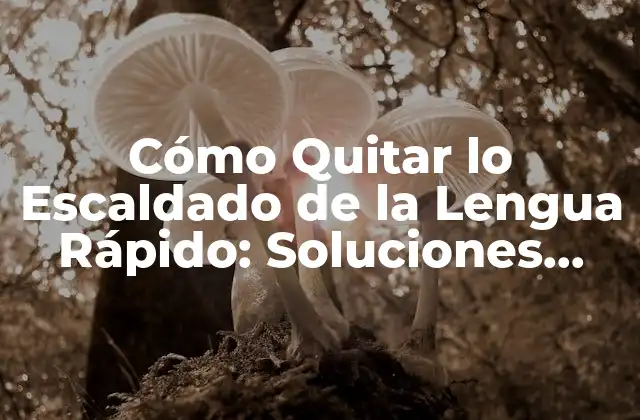 Cómo Quitar Lo Escaldado de la Lengua Rápido: Soluciones Efectivas