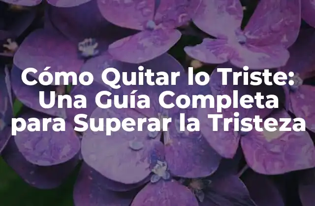 Cómo Quitar Lo Triste: una Guía Completa para Superar la Tristeza