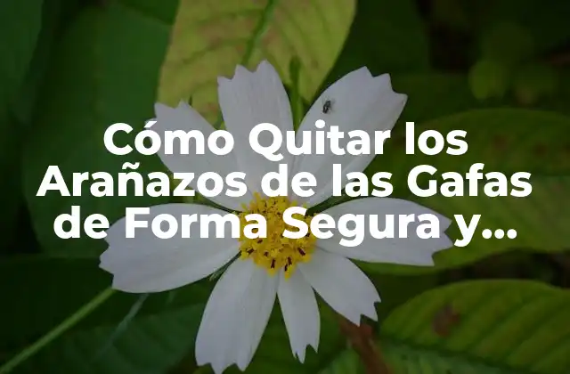 Cómo Quitar los Arañazos de las Gafas de Forma Segura y Efectiva