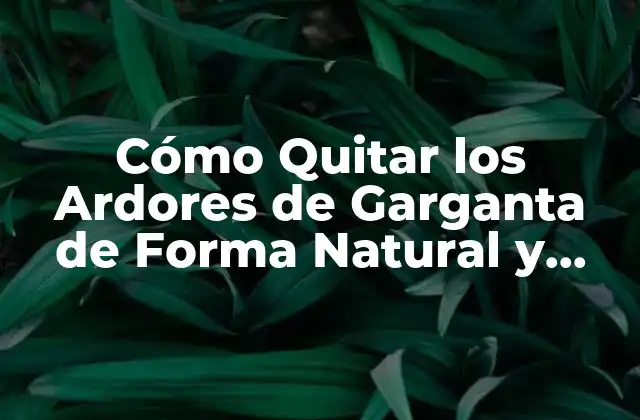 Cómo Quitar los Ardores de Garganta de Forma Natural y Rápida