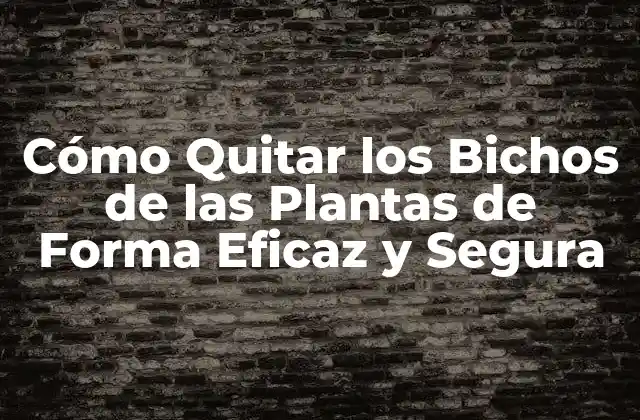 Cómo Quitar los Bichos de las Plantas de Forma Eficaz y Segura