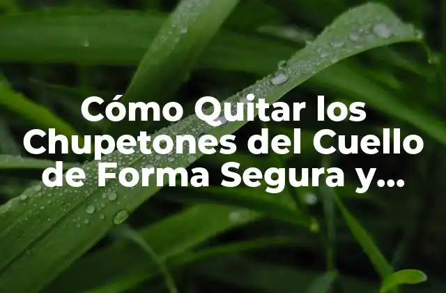 Cómo Quitar los Chupetones Del Cuello de Forma Segura y Efectiva