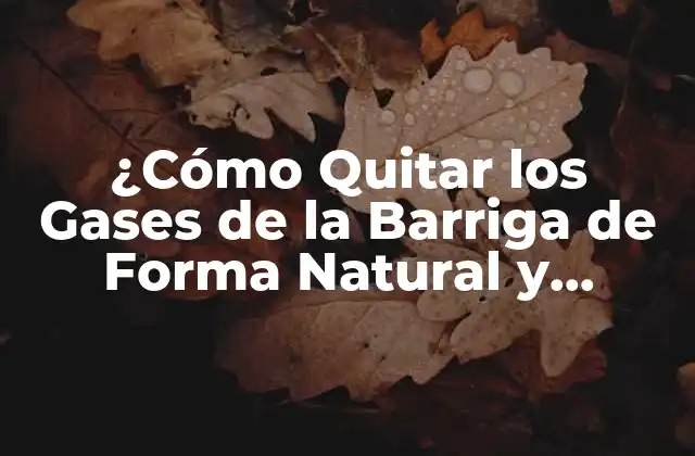 ¿cómo Quitar los Gases de la Barriga de Forma Natural y Rápida? 2 Causas de los Gases de la Barriga