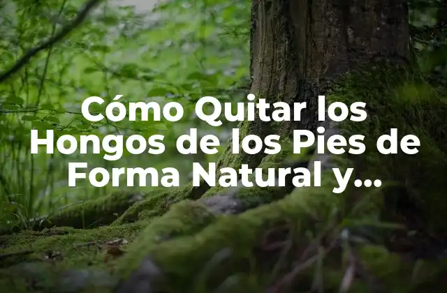 Causas de los Hongos de los Pies