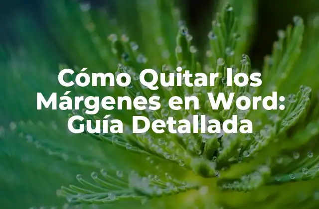 ¿Por qué Quitar los Márgenes en Word es IMPORTANTE?
