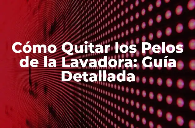 Cómo Quitar los Pelos de la Lavadora: Guía Detallada 2 ¿Por qué se acumulan pelos en la lavadora?