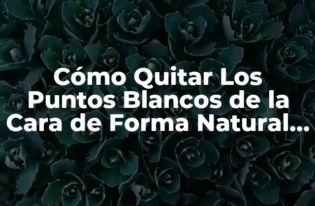 Cómo Quitar los Puntos Blancos de la Cara de Forma Natural y Efectiva