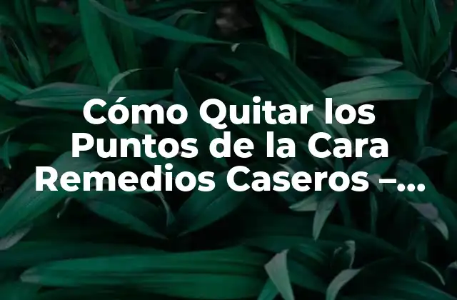 Cómo Quitar los Puntos de la Cara Remedios Caseros – Soluciones Naturales para una Piel Perfecta