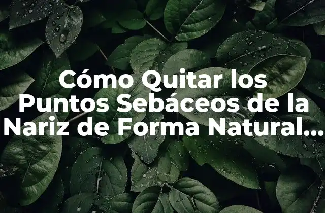 Cómo Quitar los Puntos Sebáceos de la Nariz de Forma Natural y Efectiva