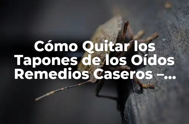 Causas Comunes de los Tapones de los Oídos