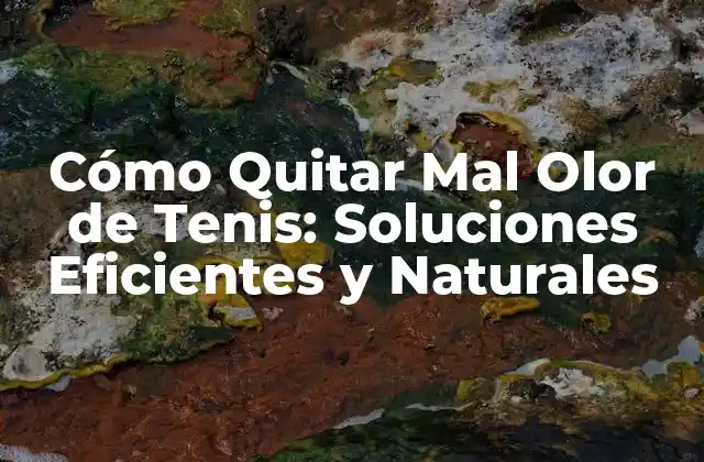 Cómo Quitar Mal Olor de Tenis: Soluciones Eficientes y Naturales 2 Causas del Mal Olor de Tenis