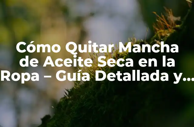 Cómo Quitar Mancha de Aceite Seca en la Ropa – Guía Detallada y Efectiva