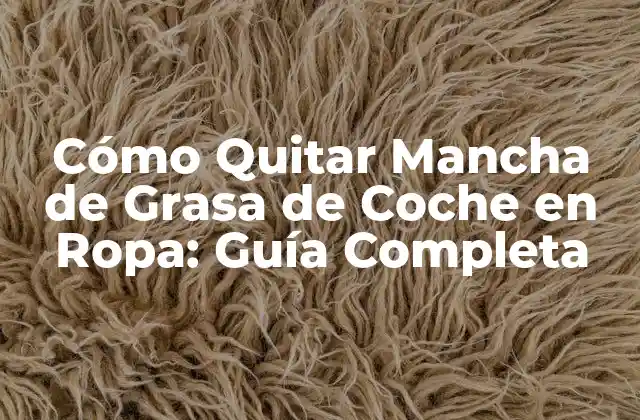 Cómo Quitar Mancha de Grasa de Coche en Ropa: Guía Completa