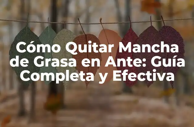 Cómo Quitar Mancha de Grasa en Ante: Guía Completa y Efectiva 2 Identificar el Tipo de Grasa