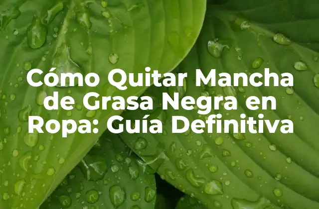 Cómo Quitar Mancha de Grasa Negra en Ropa: Guía Definitiva 2 ¿Qué Causa las Manchas de Grasa Negra en la Ropa?