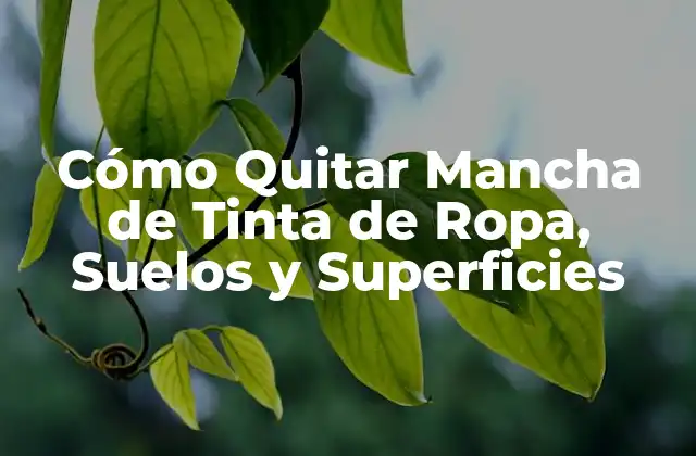 Cómo Quitar Mancha de Tinta de Ropa, Suelos y Superficies