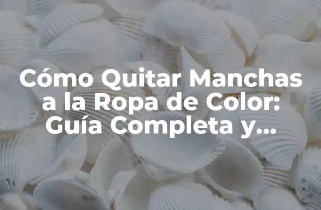 Cómo Quitar Manchas a la Ropa de Color: Guía Completa y Efectiva