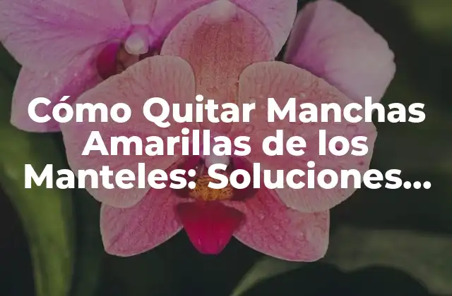 Cómo Quitar Manchas Amarillas de los Manteles: Soluciones Efectivas