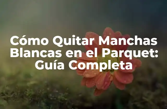 Cómo Quitar Manchas Blancas en el Parquet: Guía Completa