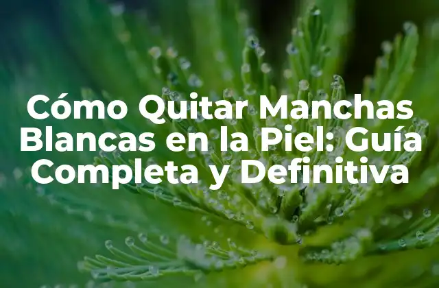 Cómo Quitar Manchas Blancas en la Piel: Guía Completa y Definitiva 2 Causas de las Manchas Blancas en la Piel