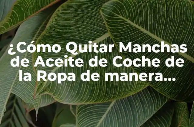 ¿cómo Quitar Manchas de Aceite de Coche de la Ropa de Manera Efectiva?