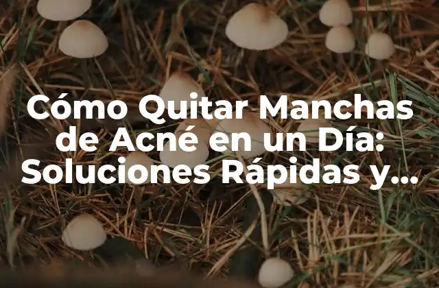 Cómo Quitar Manchas de Acné en un Día: Soluciones Rápidas y Efectivas