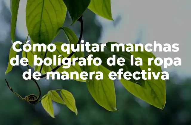 Cómo Quitar Manchas de Bolígrafo de la Ropa de Manera Efectiva