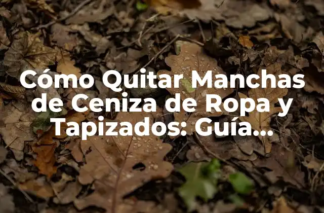 Cómo Quitar Manchas de Ceniza de Ropa y Tapizados: Guía Completa