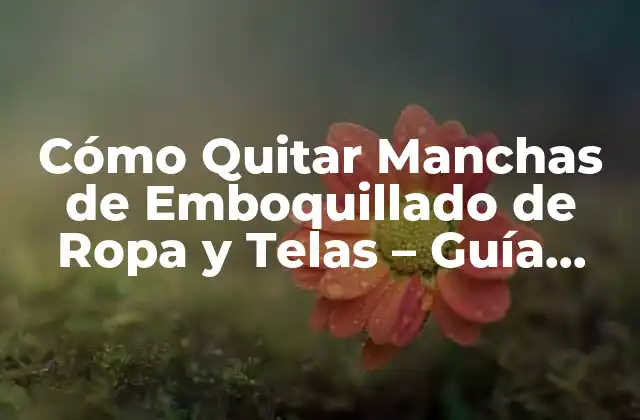Cómo Quitar Manchas de Emboquillado de Ropa y Telas – Guía Completa