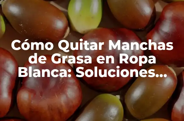 Cómo Quitar Manchas de Grasa en Ropa Blanca: Soluciones Efectivas 2 Causas Comunes de Manchas de Grasa en Ropa Blanca