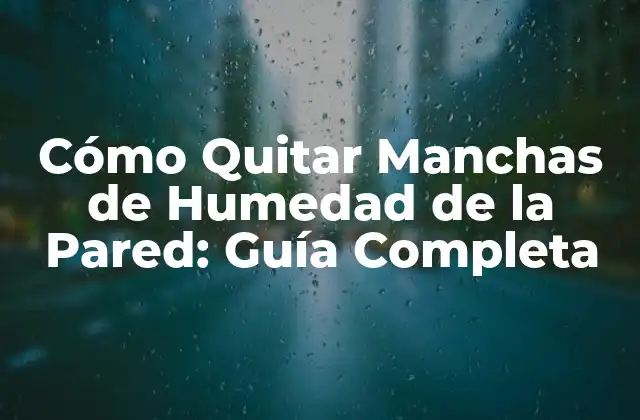 Cómo Quitar Manchas de Humedad de la Pared: Guía Completa