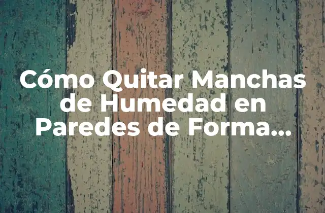 Cómo Quitar Manchas de Humedad en Paredes de Forma Efectiva