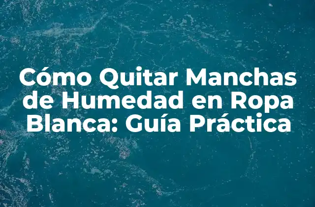 Cómo Quitar Manchas de Humedad en Ropa Blanca: Guía Práctica