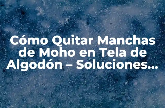 Cómo Quitar Manchas de Moho en Tela de Algodón – Soluciones Eficientes