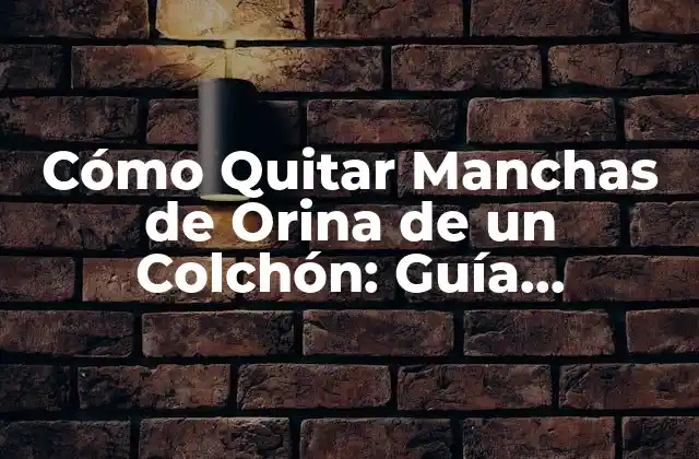 Cómo Quitar Manchas de Orina de un Colchón: Guía Completa