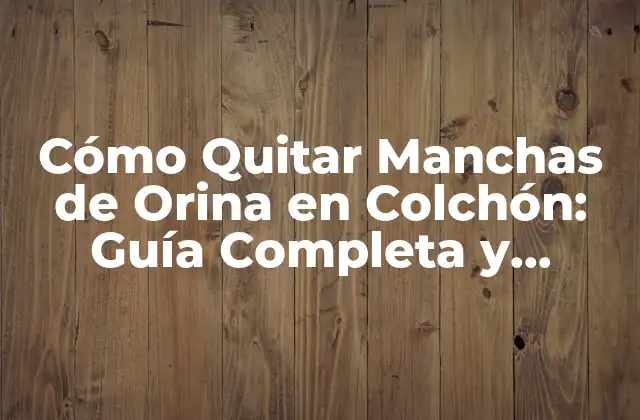 Cómo Quitar Manchas de Orina en Colchón: Guía Completa y Efectiva