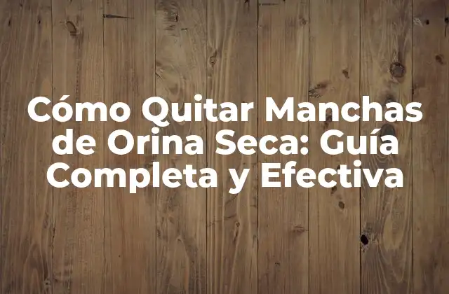 Cómo Quitar Manchas de Orina Seca: Guía Completa y Efectiva