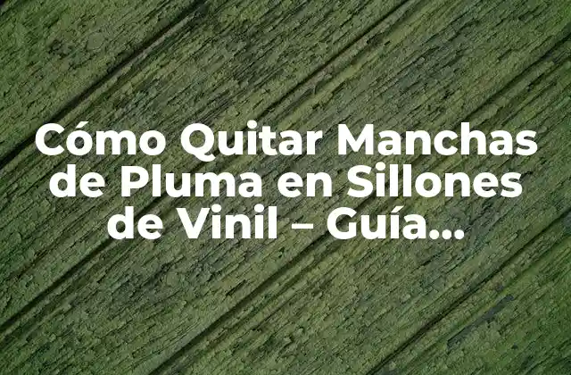 Cómo Quitar Manchas de Pluma en Sillones de Vinil – Guía Detallada y Efectiva