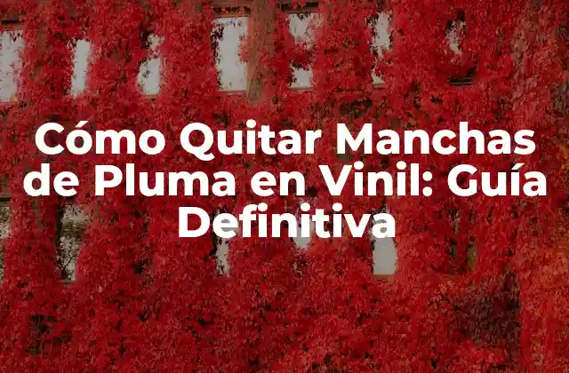 Cómo Quitar Manchas de Pluma en Vinil: Guía Definitiva