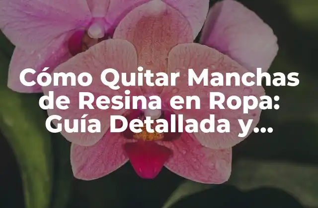 Cómo Quitar Manchas de Resina en Ropa: Guía Detallada y Efectiva