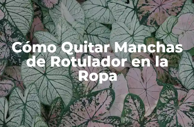 Cómo Quitar Manchas de Rotulador en la Ropa