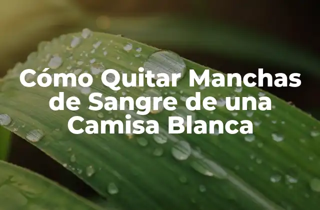 Cómo Quitar Manchas de Sangre de una Camisa Blanca 2 ¿Por qué es difícil quitar manchas de sangre?