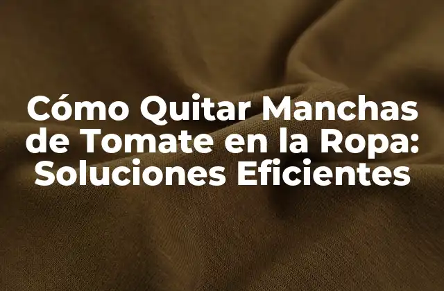 Cómo Quitar Manchas de Tomate en la Ropa: Soluciones Eficientes 2 Causas de las Manchas de Tomate en la Ropa