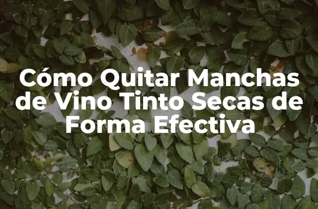 Cómo Quitar Manchas de Vino Tinto Secas de Forma Efectiva