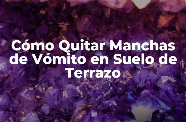 Cómo Quitar Manchas de Vómito en Suelo de Terrazo 2 Cómo preparar el suelo de terrazo para la limpieza