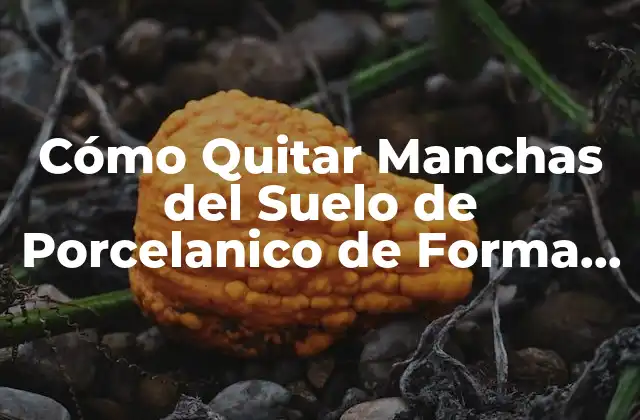 Cómo Quitar Manchas Del Suelo de Porcelanico de Forma Efectiva